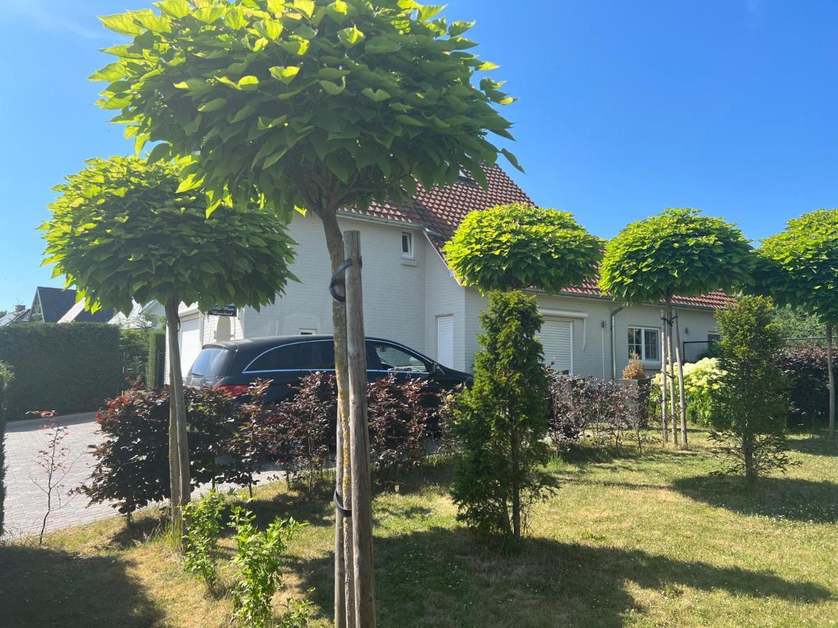 Villa Mooi Maasland Maaseik Exterior photo